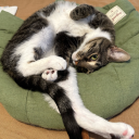 after-dark-press avatar