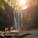 after1dedits-blog avatar