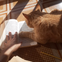 afterlife-constellation avatar