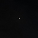 afterlifeworld avatar