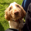 afternoon-sunlight avatar