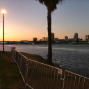 afternoonddlight avatar