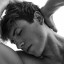 afternoonofafaun avatar