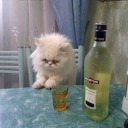 aftersexcigaret avatar