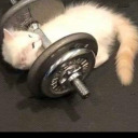 aftertheblunts avatar