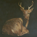 afterthiswinter avatar