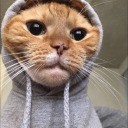 afuckingnobody avatar