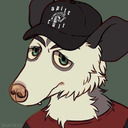 afunkyedgypossum-blog avatar