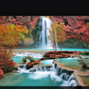 agacaasikolanadam avatar