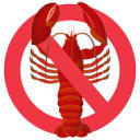 againstlobsters avatar