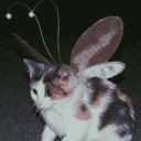 agalaxysworld avatar