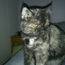 agaralph-blog avatar