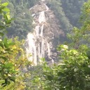 agardenofideas avatar