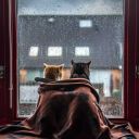 age-gap-italy avatar