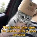 age-of-the-taco avatar