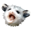 agender-possum-tongue avatar