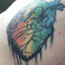 agenderturtle avatar