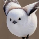 agent-coulson avatar