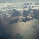 agent100051607 avatar