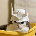 agentelephant avatar