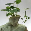 agentravenuid avatar