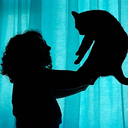 agentscullyisalreadyinlove avatar