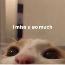 ageofaquarius130 avatar