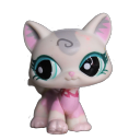 agerekitty avatar
