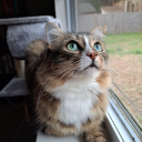 aggressivelycheerful avatar