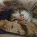 aggressivepaperclips avatar