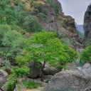 aglamakguzeldir avatar