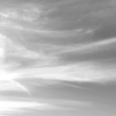 agriculturalgangsterism avatar