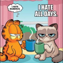 agrumpycatsblog avatar