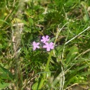 agua-con-chia avatar