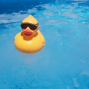 aguacate-perdido avatar