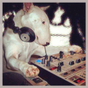 aguide2goblinry avatar