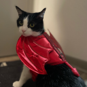 ahahahistorian avatar