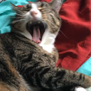 ahdekae-lavender avatar