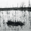 ahtapotkollari avatar