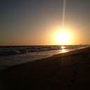 ahuman-and-apen avatar