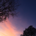 ahuman-living avatar