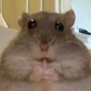 ahva5f5qc61c51c5c1 avatar