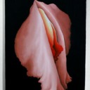 ai-artedtmblrposts avatar