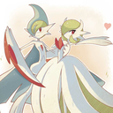 aiden-the-gallade avatar