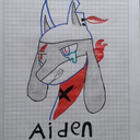 aidentheriolu avatar