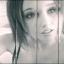 ailuroph-ile-blog-blog avatar