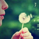 aimaluque-blog avatar