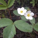 aimless--photography avatar