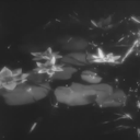 aimless-river avatar