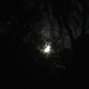 aimlesslonging avatar